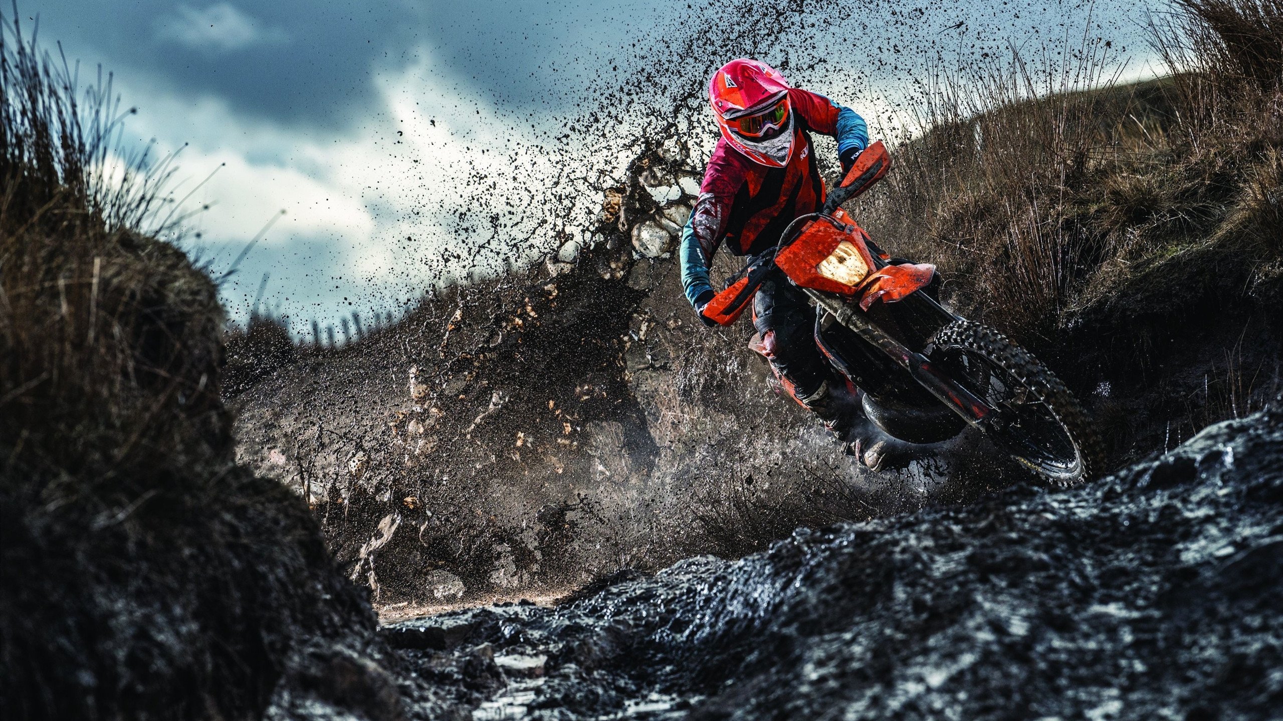 “明星私生活：场外趣味爱好全揭秘”，明星私下日常生活